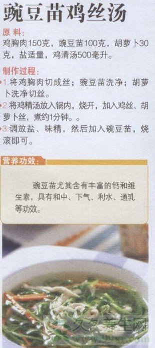 豌豆苗鸡丝汤的做法 豌豆苗鸡丝汤的功效与作用