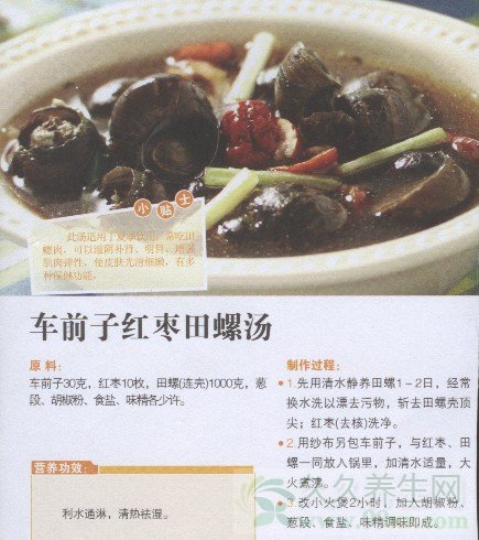 车前子红枣田螺汤的做法 车前子红枣田螺汤的功效与作用
