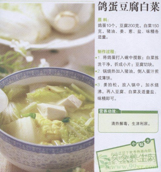 鸽蛋豆腐白菜汤的做法 鸽蛋豆腐白菜汤的功效与作用