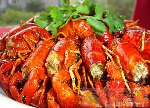 口味虾是哪里的菜系 口味虾是什么地方的菜