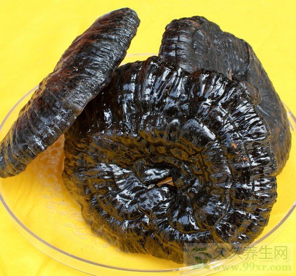 灵芝的食用方法有哪些