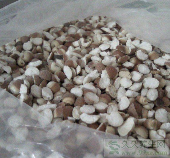 芡实的功效与作用及食疗价值有哪些