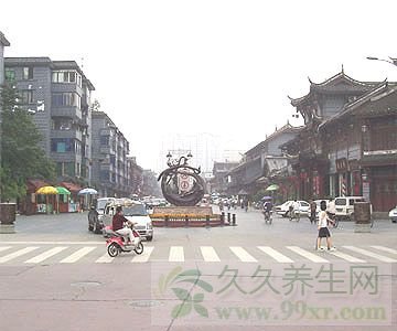 草堂餐饮街