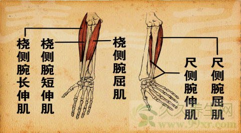 北京卫视养生堂视频20130318:李方祥讲肩峰撞击综合征
