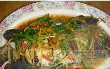 清蒸石斑鱼是哪的菜 清蒸石斑鱼是什么地方的菜系