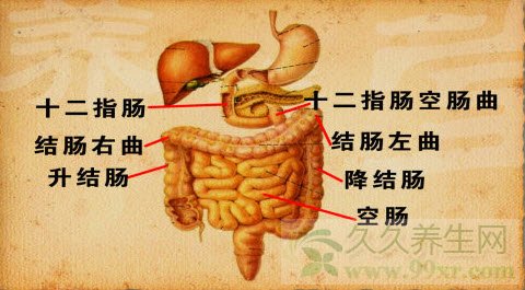 北京卫视养生堂视频20130328:赵荣莱,翟兴红讲腹胀,肝郁气滞