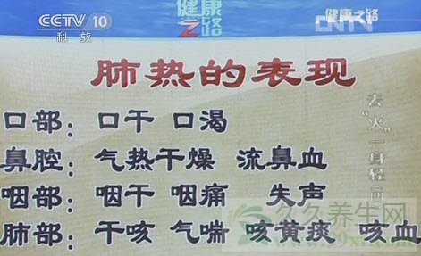 健康之路视频20130401:王玉光讲肺火,少商穴,板蓝根冲剂