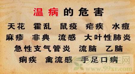 养生堂视频20130409:刘景源,刘宁讲温病,辛温解表,麻黄汤