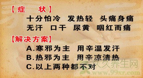 养生堂视频20130411:刘景源,刘宁讲寒包火,表寒里热证,黄芩