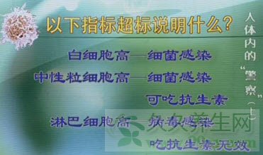 cctv10֮·Ƶ20130409:콲ϸ,,ܰ״
