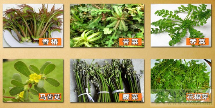 北京卫视养生堂视频20130429:于康讲野菜,蕨菜,原蕨苷,五谷杂粮