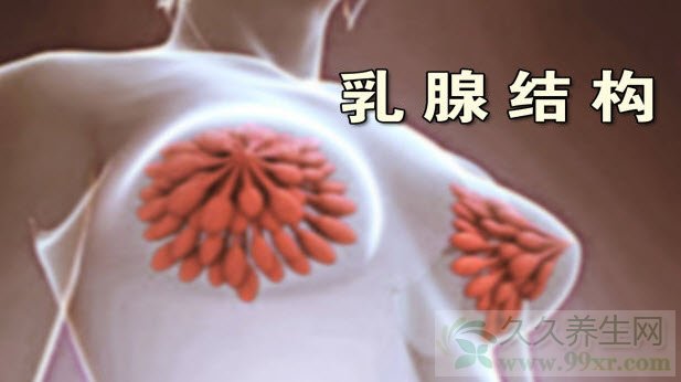 北京卫视养生堂视频20130522:王翔,栾杰讲乳腺癌,卵巢癌,乳房再造