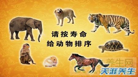 北京卫视养生堂视频20130525:胡大一换个角度看“心事”慢性心率增快