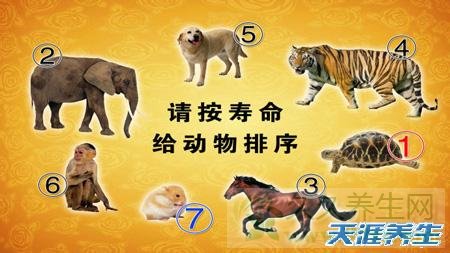 北京卫视养生堂视频20130525:胡大一换个角度看“心事”慢性心率增快