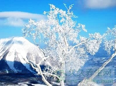 霜降养生:是什么时候 吃什么好