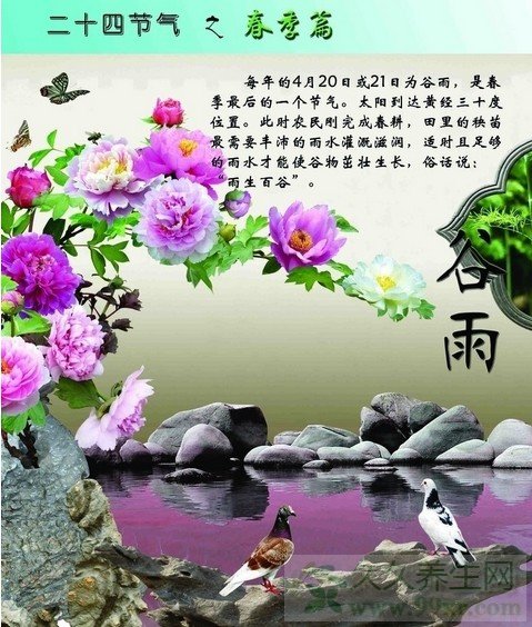谷雨养生:是什么时候 吃什么好