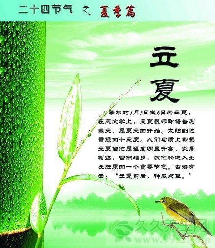 立夏养生:是什么时候 吃什么好