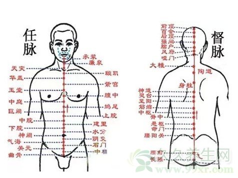 督脉按摩穴位图