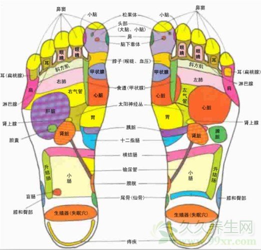 足底按摩穴位图