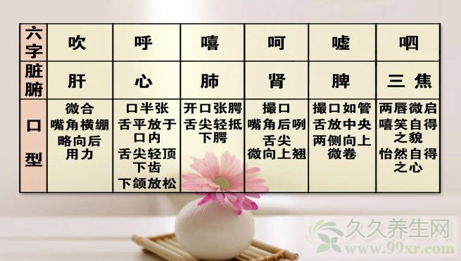 北京卫视养生堂视频20130806:路志正,路洁讲情志,六字诀,三花茶