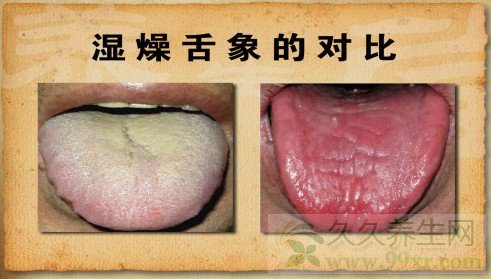 北京卫视养生堂视频20130808:路志正,路洁讲津液,养阴,增津润液