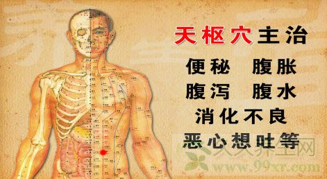 北京卫视养生堂视频20130820:谷世喆讲四白穴,脾胃,砭石,胃胀
