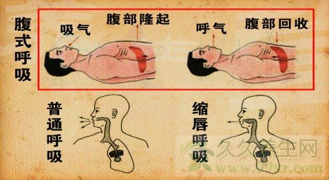 北京卫视养生堂视频20130901:励建安讲呼吸系统疾病,咳痰,排痰