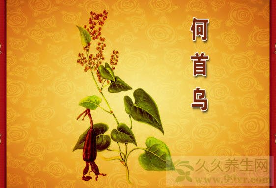 北京卫视养生堂视频20131212:吕培文讲血瘀阻络,首乌藤,寒湿阻络