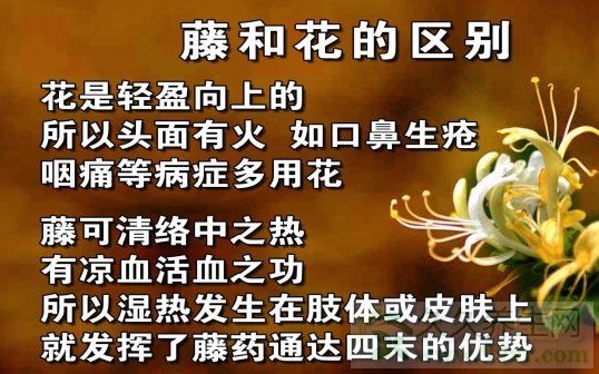 Ƶ20131213:Ľʪ,ϻ,