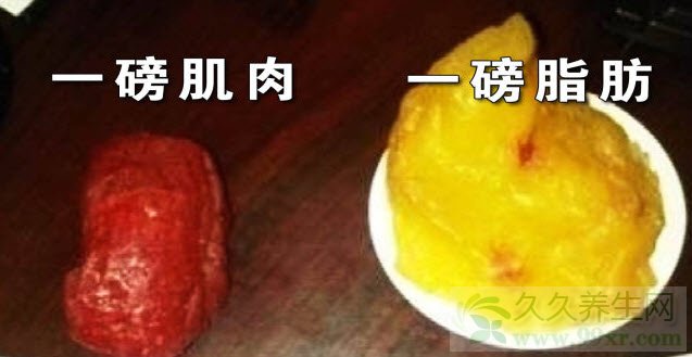 北京卫视养生堂视频20140120:李建军讲肥胖,血脂,吃动平衡