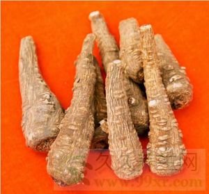 白芷的功效与作用及禁忌