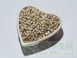 薏仁的功效与作用及禁忌