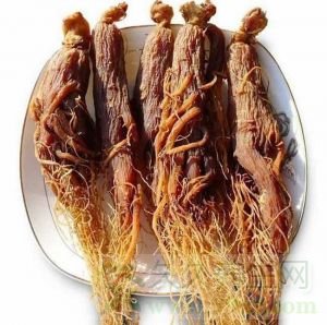 红参的功效与作用及禁忌
