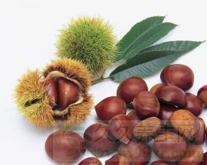 板栗的功效与作用及食用方法