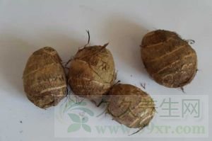 芋头的功效与作用及禁忌