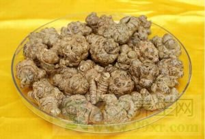 三七的功效与作用及禁忌