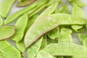 扁豆的功效与作用及禁忌