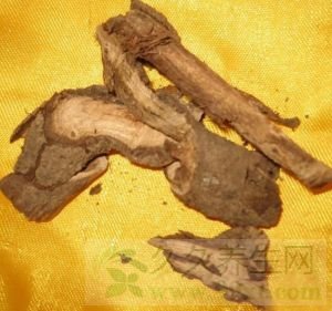 ĹЧü