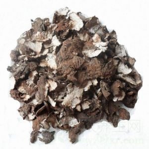 茯苓皮的功效与作用及食用方法