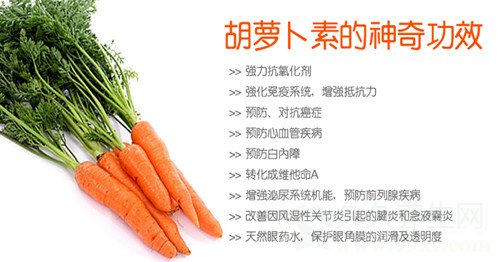 多吃富含α-胡萝卜素的食物有助于延年益寿