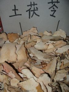 土茯苓的功效与作用及禁忌