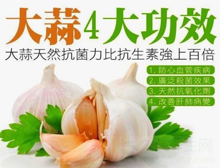 大蒜的功效与作用及营养价值