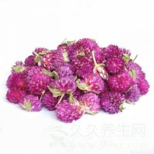 千日红的功效与作用及禁忌