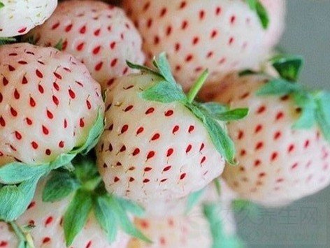 菠萝莓的功效与作用