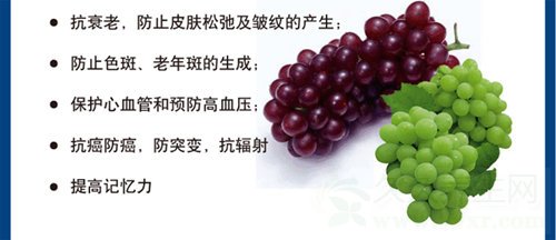 葡萄的营养价值及功效