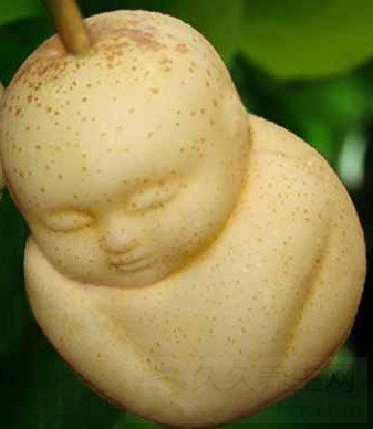 人参的功效与作用及禁忌