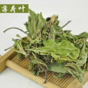 薄荷叶的功效与作用及禁忌