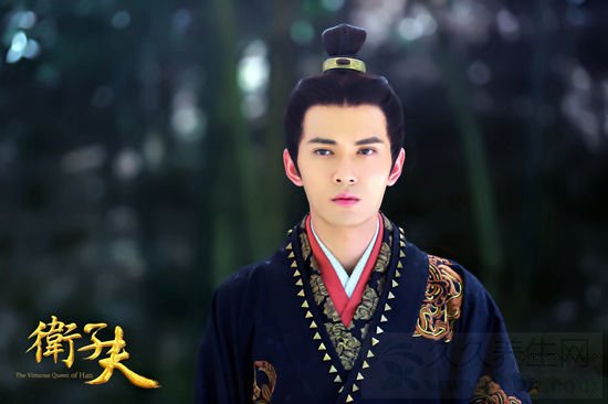 段宏是谁 段宏和卫子夫什么关系
