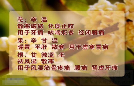 北京卫视养生堂视频20140908:李乾构,汪红兵,于仁文讲秋燥吃什么