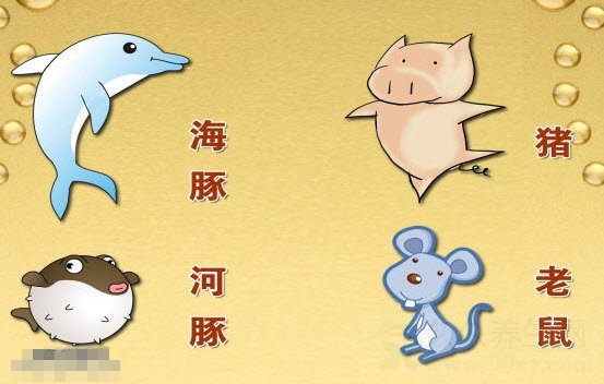 北京卫视养生堂视频20140911:张捷讲薄荷叶的功效,薄荷叶怎么吃